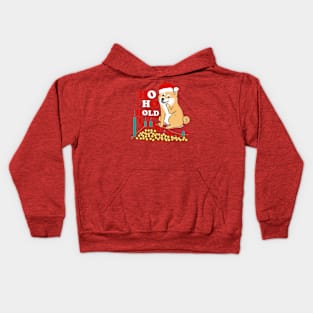 Ho Ho Hold -Shiba inu Dog Coin Xmas Kids Hoodie